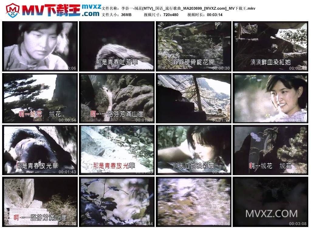 李谷一-绒花(MTV)_国语_流行歌曲_MA203699